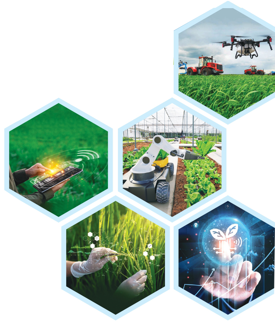 Uttar Pradesh Bioenergy